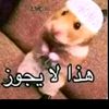 medo_ali_wahed_bas