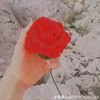 user7593138707068