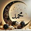 user2658639251527