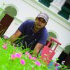 ave.saha