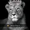 bb__rr5