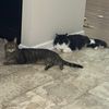 luna.oreo_