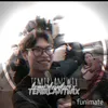 temirlantwix