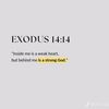 _fearless14