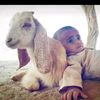 marwaniraq8