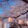 _loulou226