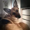 melinashutup4