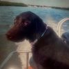 finndawg81