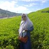 ani.samir2