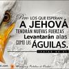 siervo.de.jehova