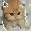 cpandy.blossom