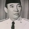 rezasyahputra5567