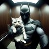 im_literally_batman2