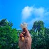 md.sakib.hossen.09