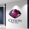 Ceylon Pure Gems