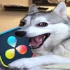 katyasbraincells