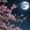 cherry_shadow_dark