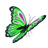 lidopalmsmanager