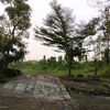 kuirulrizky