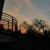 lennox_scorpijo