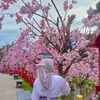 frda_ashter