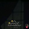 chusmaniqbal815