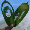 ell_lida2