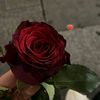 user3381131440001