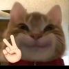 ciwontx