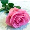 abdalaabdala688
