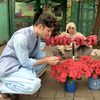 saqii_gull