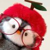 its_iaanie