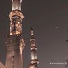 abdull261