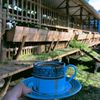 alanjaya_farm