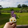 wildkraeuter_liebe