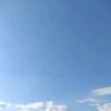 skyray77