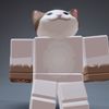 nampopcat1