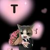 nael.stamp