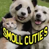Smoll_Cuties