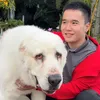 dorisdogvietnam