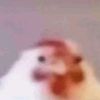 _penguinfartballs_