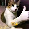 michi_waos