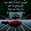 user94ct869jb1