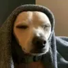 Sen0wrll