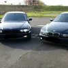 alex355346