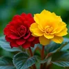 user5754206061752