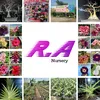 r.a_nursery