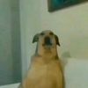 mafer._37