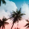 uservi3ekufvnw