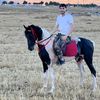 abdalharere429